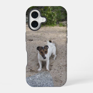 Coque iPhone 16 Tête de Capo von Oppenheim Terrier Jack Russell, C