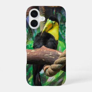 Coque iPhone 16 un beau Toucan noir et jaune