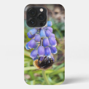 Etui iPhone 13 Pro Abeille sur Muscari Armeniacum, Grape Hyacinth