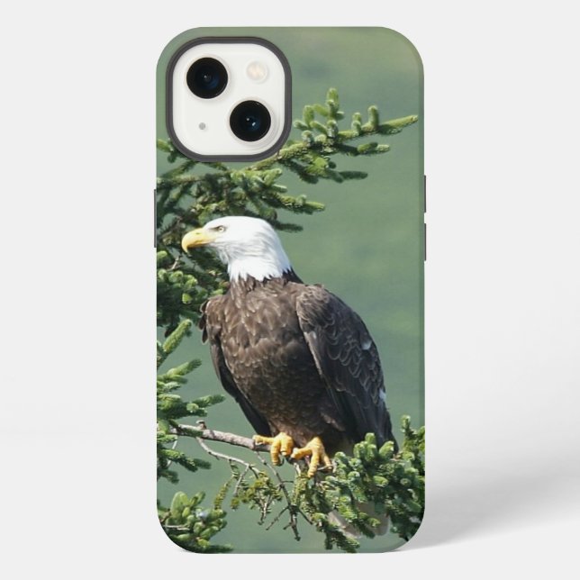 Coque iPhone Aigle de Bald (Verso)
