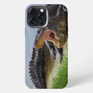 Etui iPhone 13 Pro Max Alligator