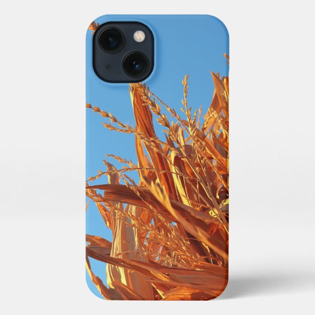 Coque iPhone Amber Waves  (Verso)