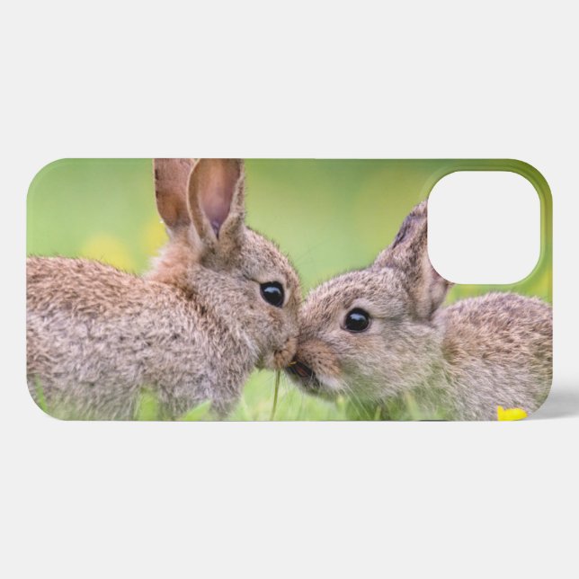 Coque iPhone Animaux de bébés cutest | Bunny Kiss (Verso Horizontal)
