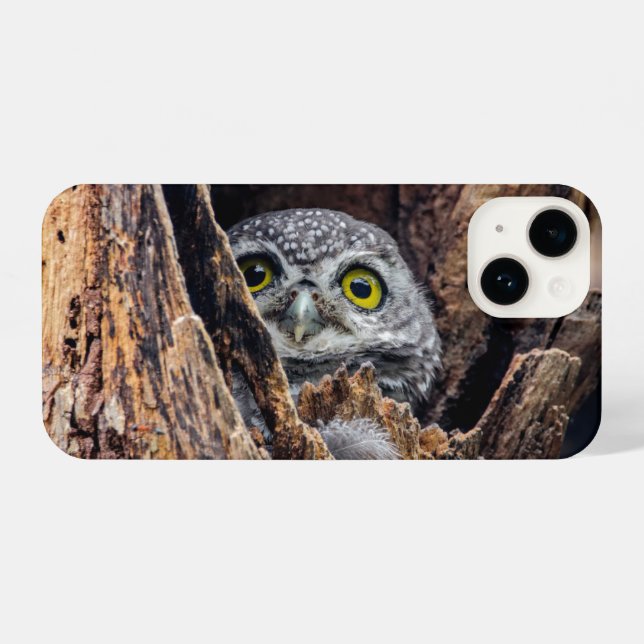 Coque iPhone Animaux de bébés cutest | Chouette tachetée (Verso Horizontal)