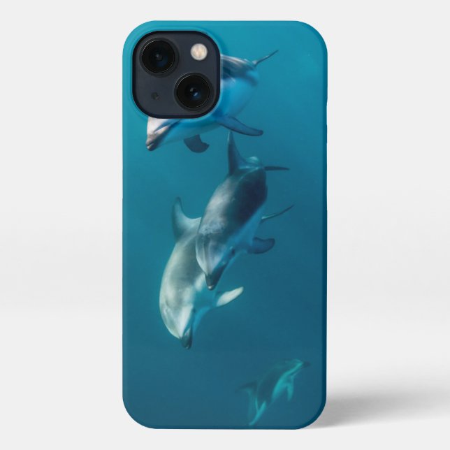 Coque iPhone Animaux de bébés cutest | Famille de dauphins (Verso)