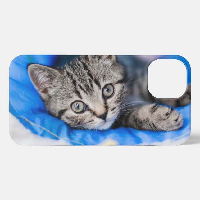 Coque iPhone Animaux de bébés cutest | Tunnel Tabby Kitten en J (Verso Horizontal)