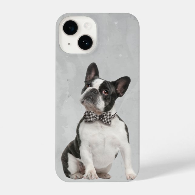 Coque iPhone Aquarelle Boston Terrier chien animal animal anima (Verso)