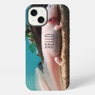 Etui iPhone 13 Axolotl leuciste