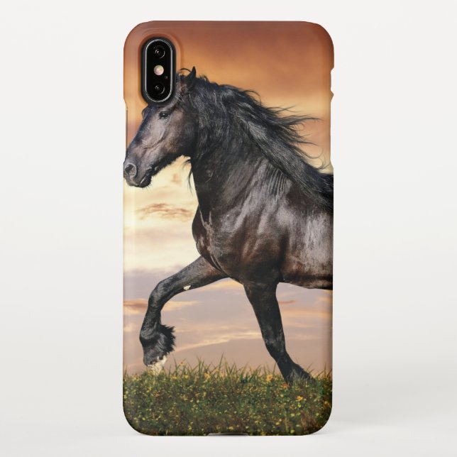 Coque iPhone Beau Cheval Noir (Dos)