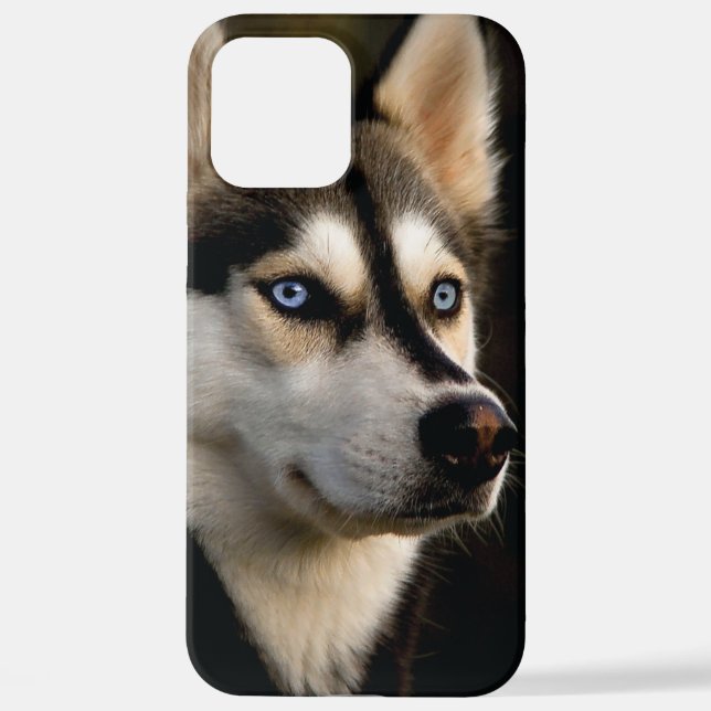 Coque iPhone Beau Oreiller Husky Lrow (Verso)