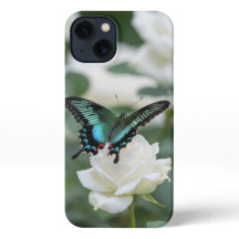 Beau papillon et roses blanches