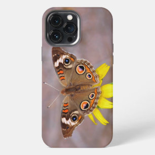 Etui iPhone 13 Pro Max Beau papillon sur fleur jaune