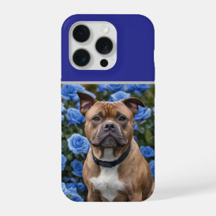 "Beauté audacieuse : un Staffy brun dans un jardin