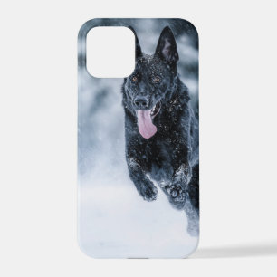 Coque iPhone 12 Pro Berger allemand noir dans la couverture de duvet d