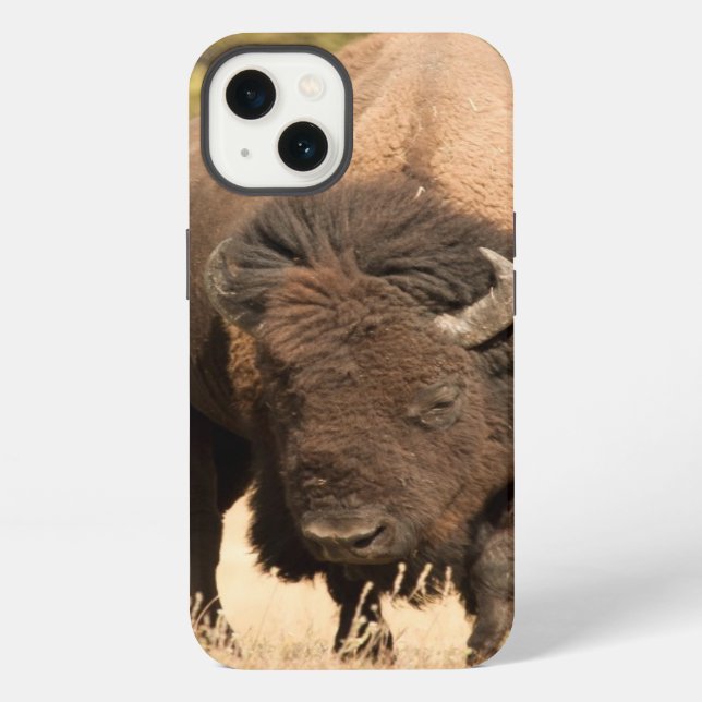 Coque iPhone Bison (Verso)