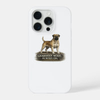 Boerboel – Mode Gardien Toujours Activé