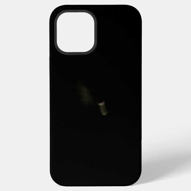 Coque iPhone Boîtier iPhone 12 pro max (Verso)