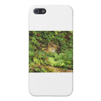 Étui iPhone 5 Cachette