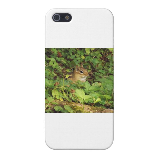 Coque iPhone Cachette (Dos)