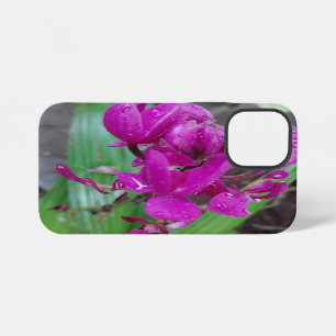 Coque iPhone 12 Mini Cadeau naturel d'anniversaire, 2026, nouvelle anné