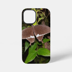Coque iPhone 12 Mini cadeau pour amateur de papillons
