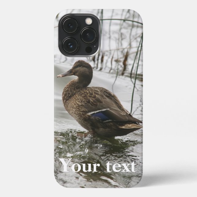 Coque iPhone Canard gris sur la nuit du lac (Verso)
