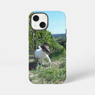 Etui iPhone 13 Mini Capo von Oppenheim Jack Russell Terrier, Chien
