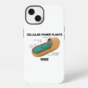 Etui iPhone 13 Centrales Énergétiques Cellulaires à l'Intérieur d