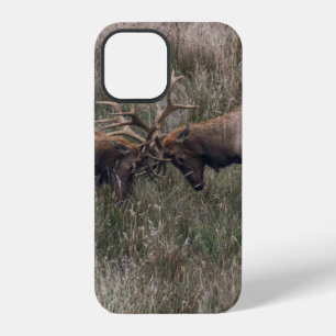 COQUE iPhone 12 CERFS COMBATTANTS
