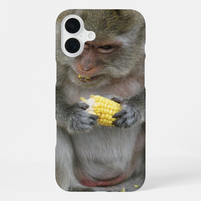 Coque iPhone C'est à moi !! ... Singe macaque sauvage thaïlanda (Verso)