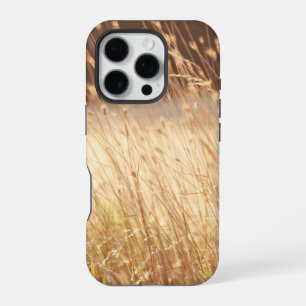 Coque iPhone 16 Pro Champ d'herbe au coucher du soleil d'été