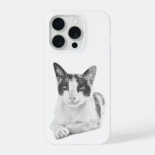 Chat calico en demi-teinte
