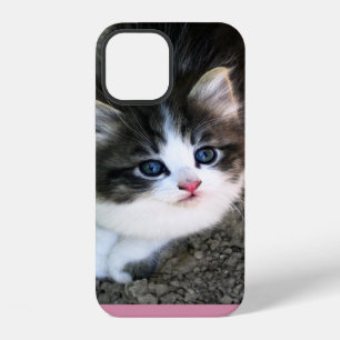 Coque iPhone 12 Chaton errant SUPER MIGNON