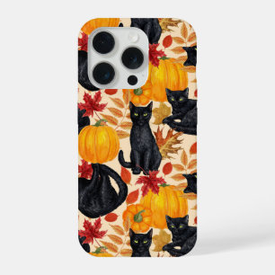 Chats noirs et citrouilles