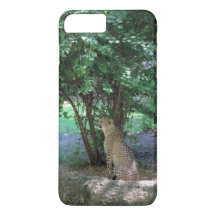 Coque iphone Cheetah
