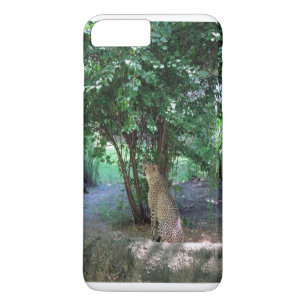 Coque iphone Cheetah