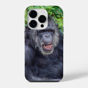 Coque Pour iPhone 14 Plus Chimpanzé gros