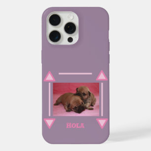 chiot bouledogue français Bouledogue Français