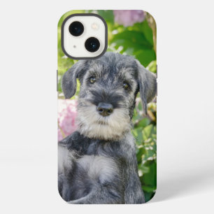 Etui iPhone 13 Chiot Schnauzer Standard dans un jardin fleuri - 
