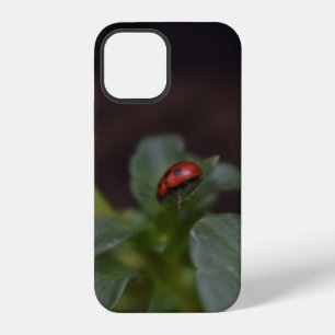 Coque iPhone 12 Coccinelle sur fleurs