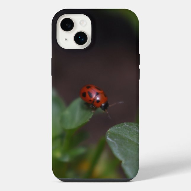 Coque iPhone Coccinelle sur fleurs (Verso)
