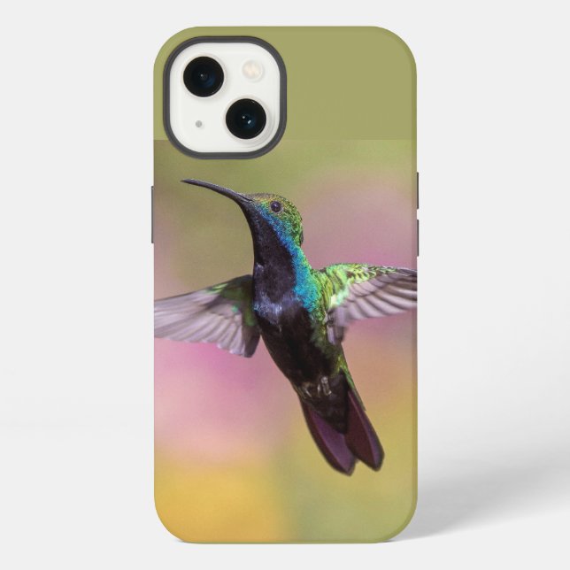Coque iPhone Colibri  (Verso)