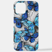Composition des White and Blue Butterflies