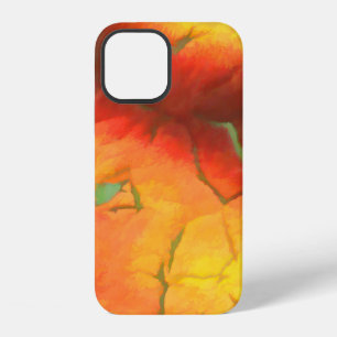 Coque iPhone 12 conception graphique texture de fond numérique col