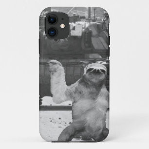 Coque iphone de paresse