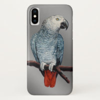 Coque iphone de perroquets African Grey Parrot Coq