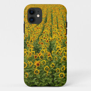 Coque iphone de puissance de tournesol