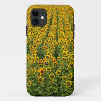 Coque iphone de puissance de tournesol