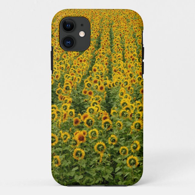 Coque iphone de puissance de tournesol (Dos)