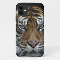 Coque iphone de tigre